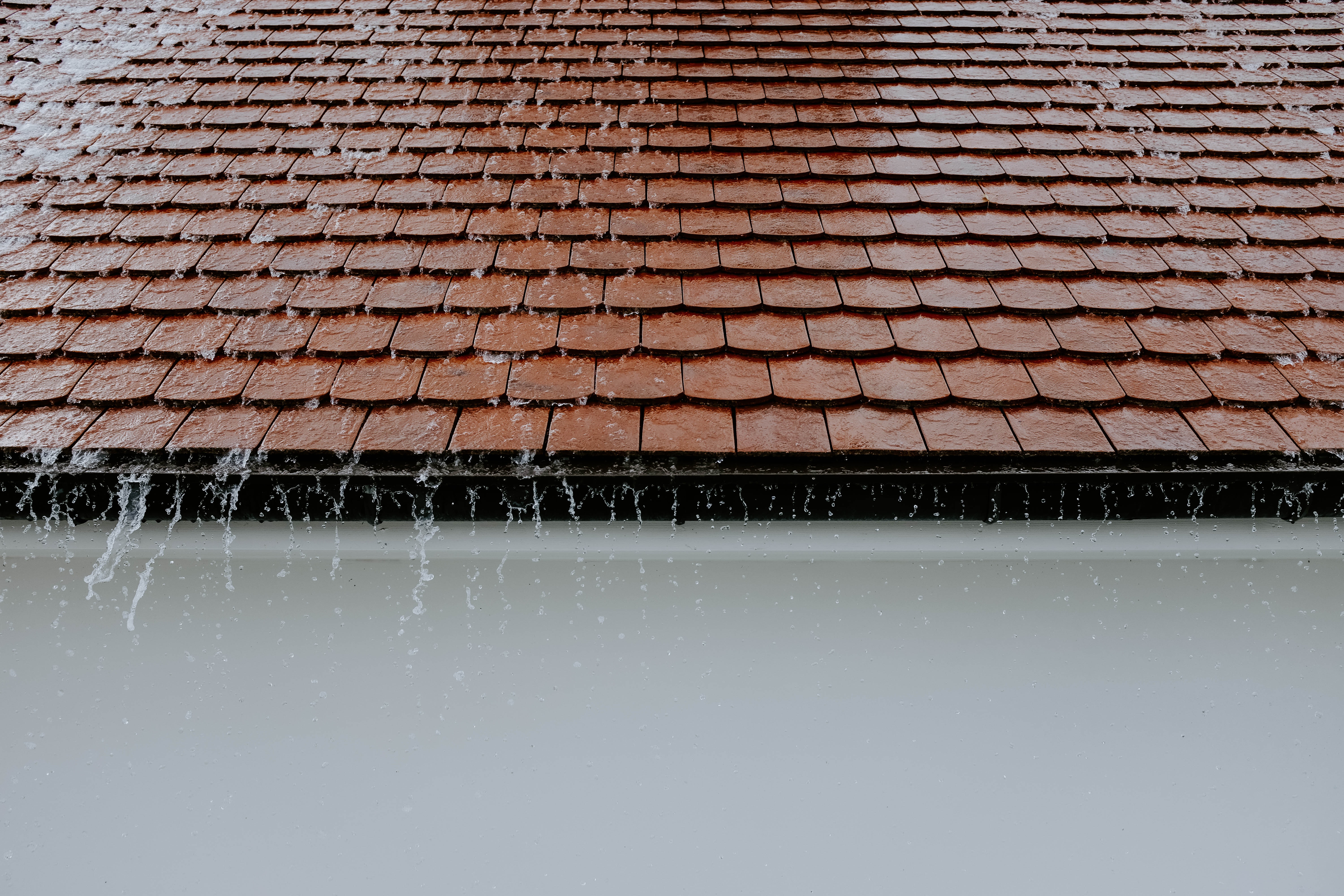The Effects of Water Damage on a Roof