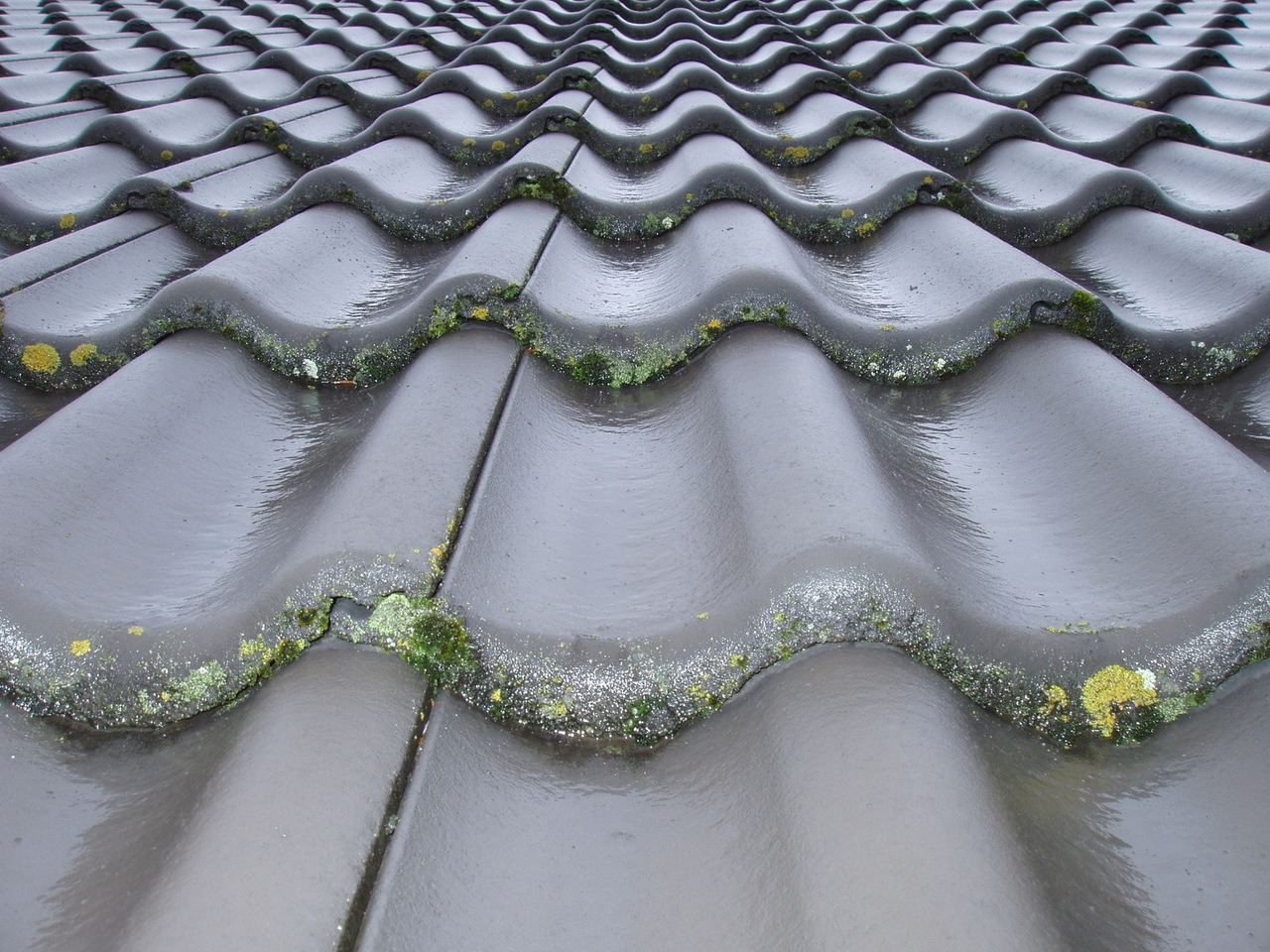 Roof Maintenance: How To