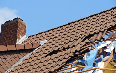 Common Signs of Roof Damage