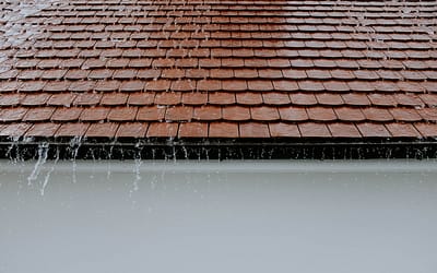 The Effects of Water Damage on a Roof